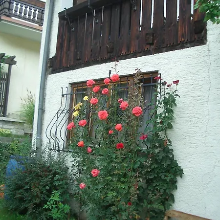 乌利公寓 滨湖采尔